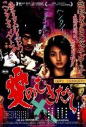ai-no-mukidashi-2009.jpg