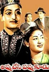 appu-chesi-pappu-koodu.jpg