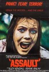 assault-1973.jpg