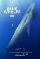 blue-whales-return-of-the-giants-2023.jpg