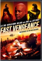 fast-vengeance.jpg
