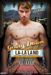going-down-in-la-la-land-2011.jpg
