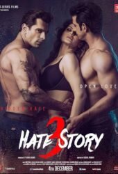 hate-story-3-2015.jpg