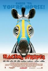 racing-stripes.jpg