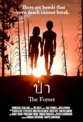 the-forest-2016.jpg