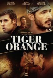 tiger-orange-2014.jpg